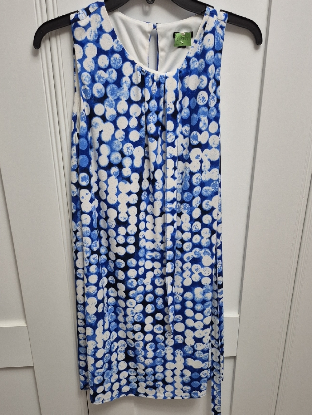 Ann Taylor Blue and White Sleeveless Dot-Print Shift Dress